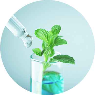 大數(shù)據智能育種系統(tǒng)